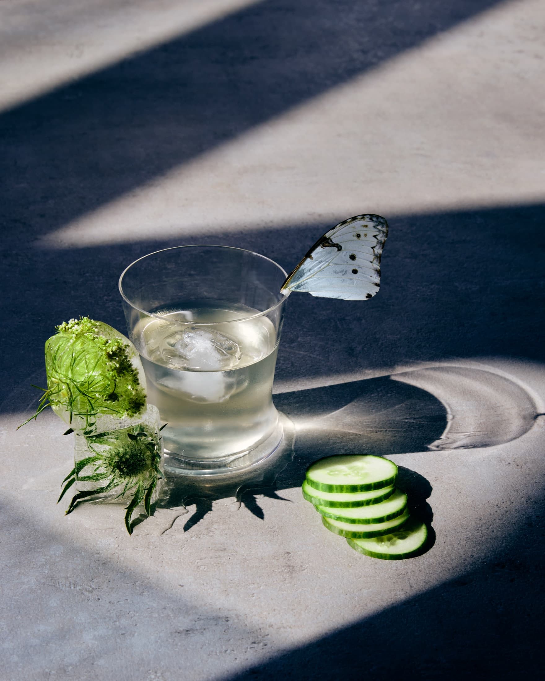 White Negroni with butterfly and cucumber